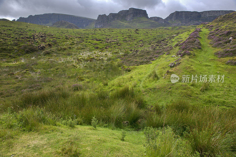 苏格兰斯凯岛(Isle of Skye)上通往奎拉宁山脉(cuith - raining)的草地，通常被称为奎拉宁。